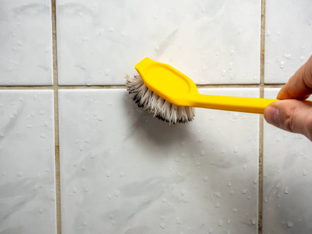 Best Emergency Mold Remediation in Palestine, TX