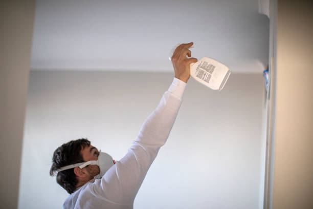 Best Residential Mold Remediation in Palestine, TX