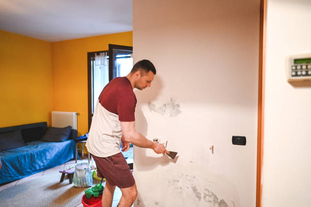 Best Kitchen Mold Remediation in Palestine, TX